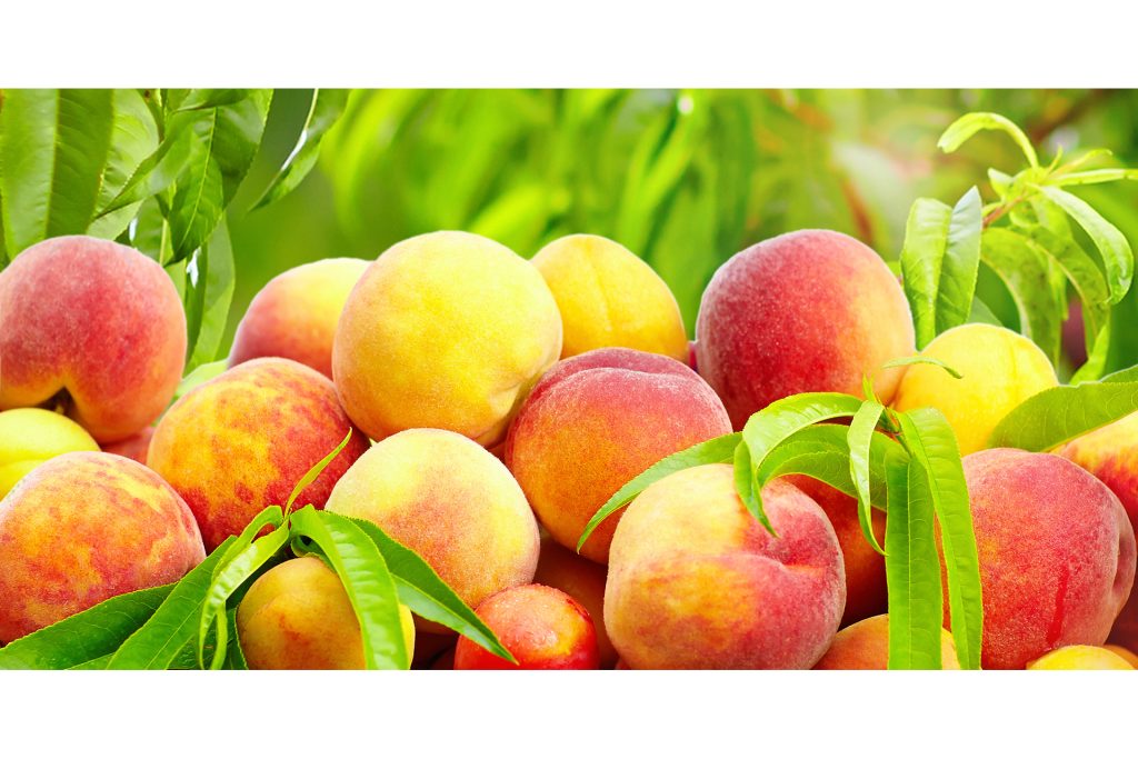 Peaches