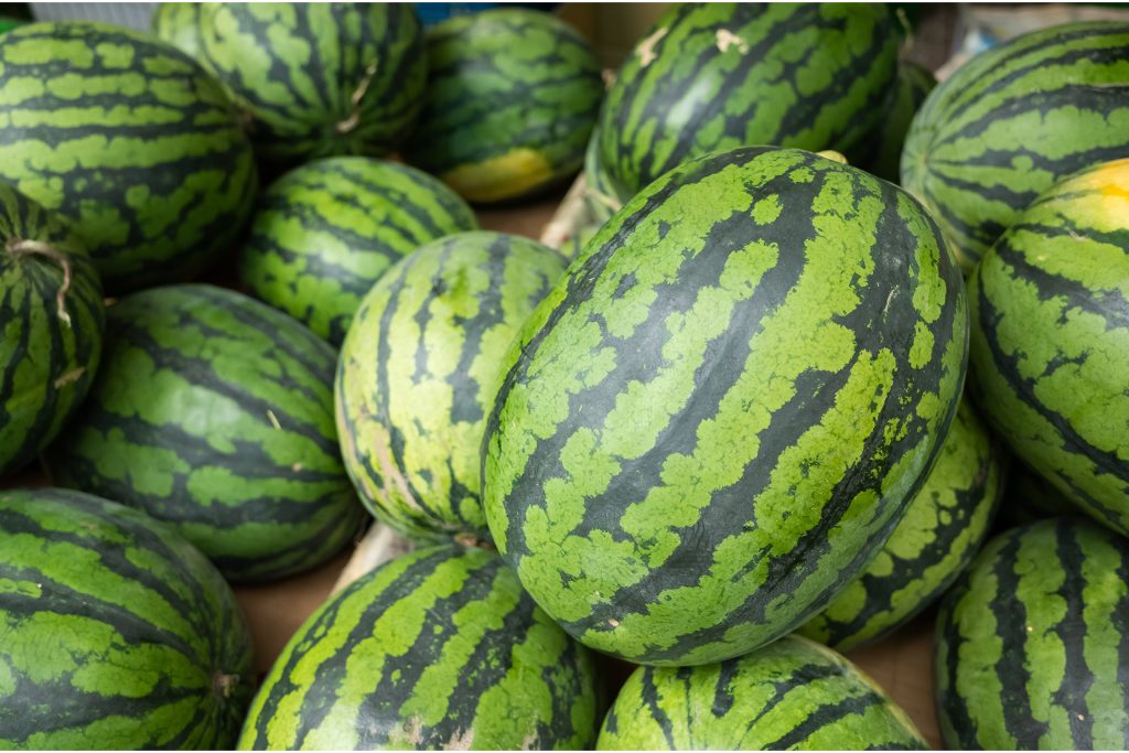 Watermelon
