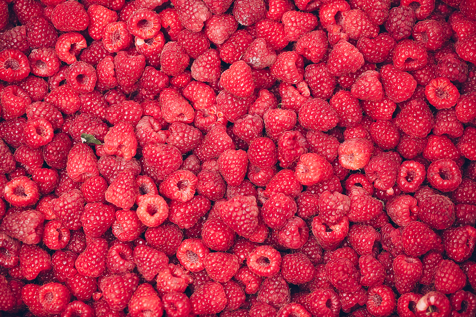 Raspberries